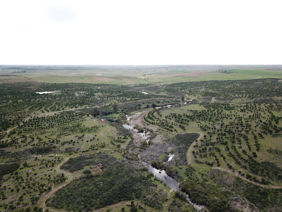 Herdade De Alagaes แมร์โตลา ภายนอก รูปภาพ