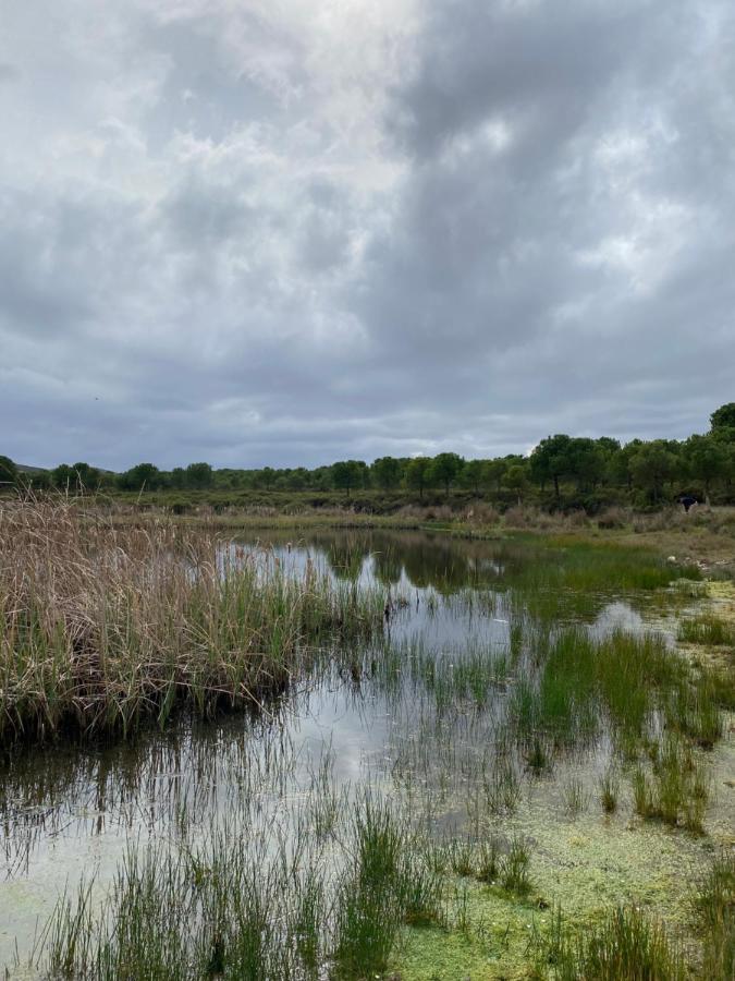 Herdade De Alagaes แมร์โตลา ภายนอก รูปภาพ